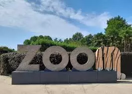 zoom